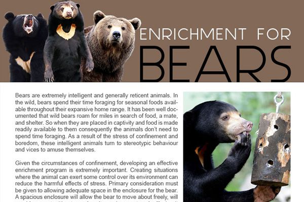 Bears Enrichment